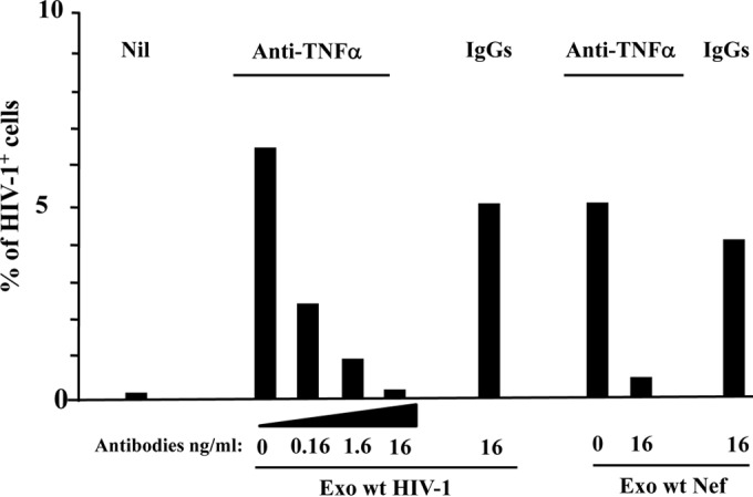 FIG 8