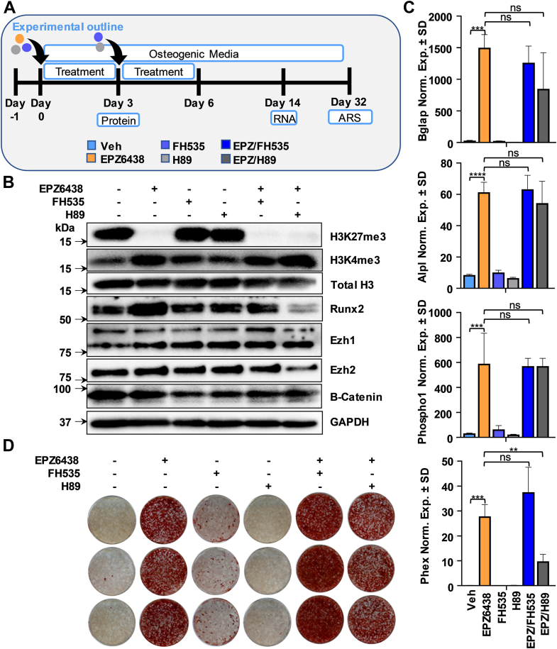 Figure 4