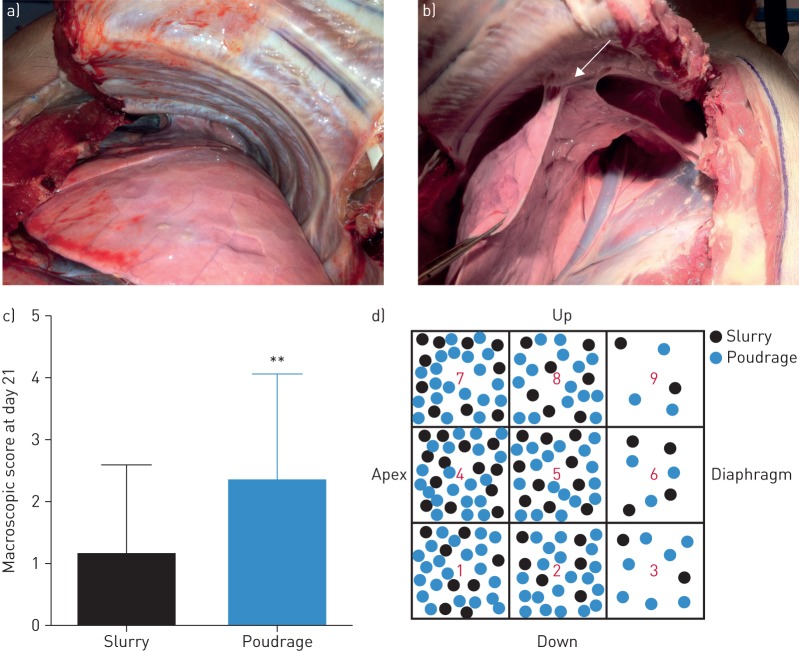 FIGURE 3