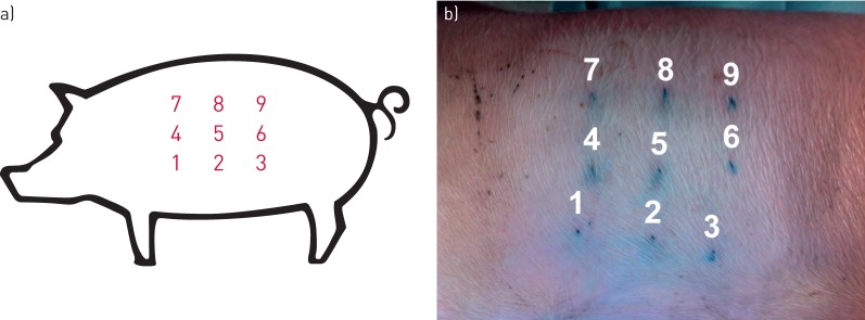 FIGURE 1