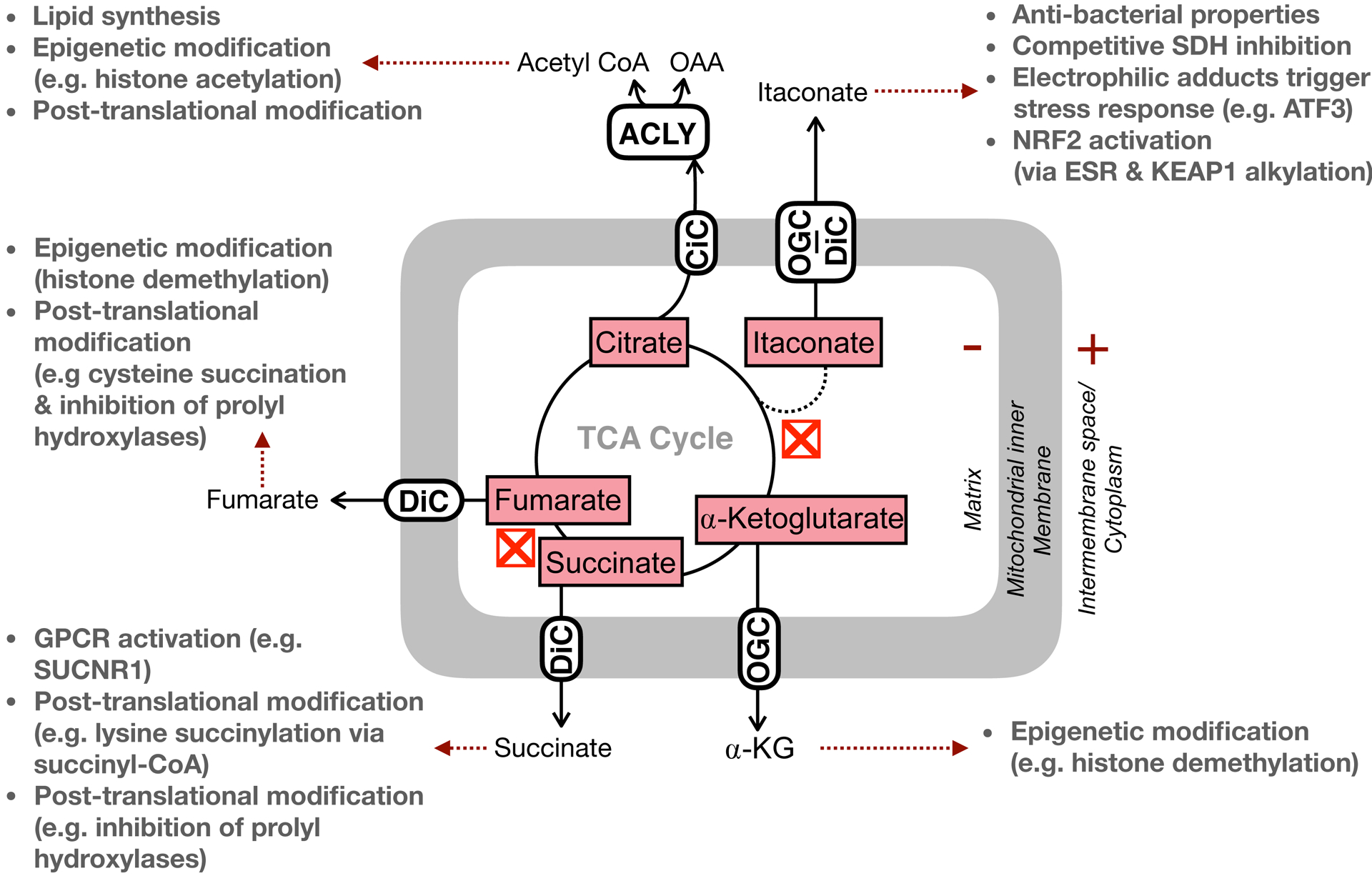 Figure 3 –