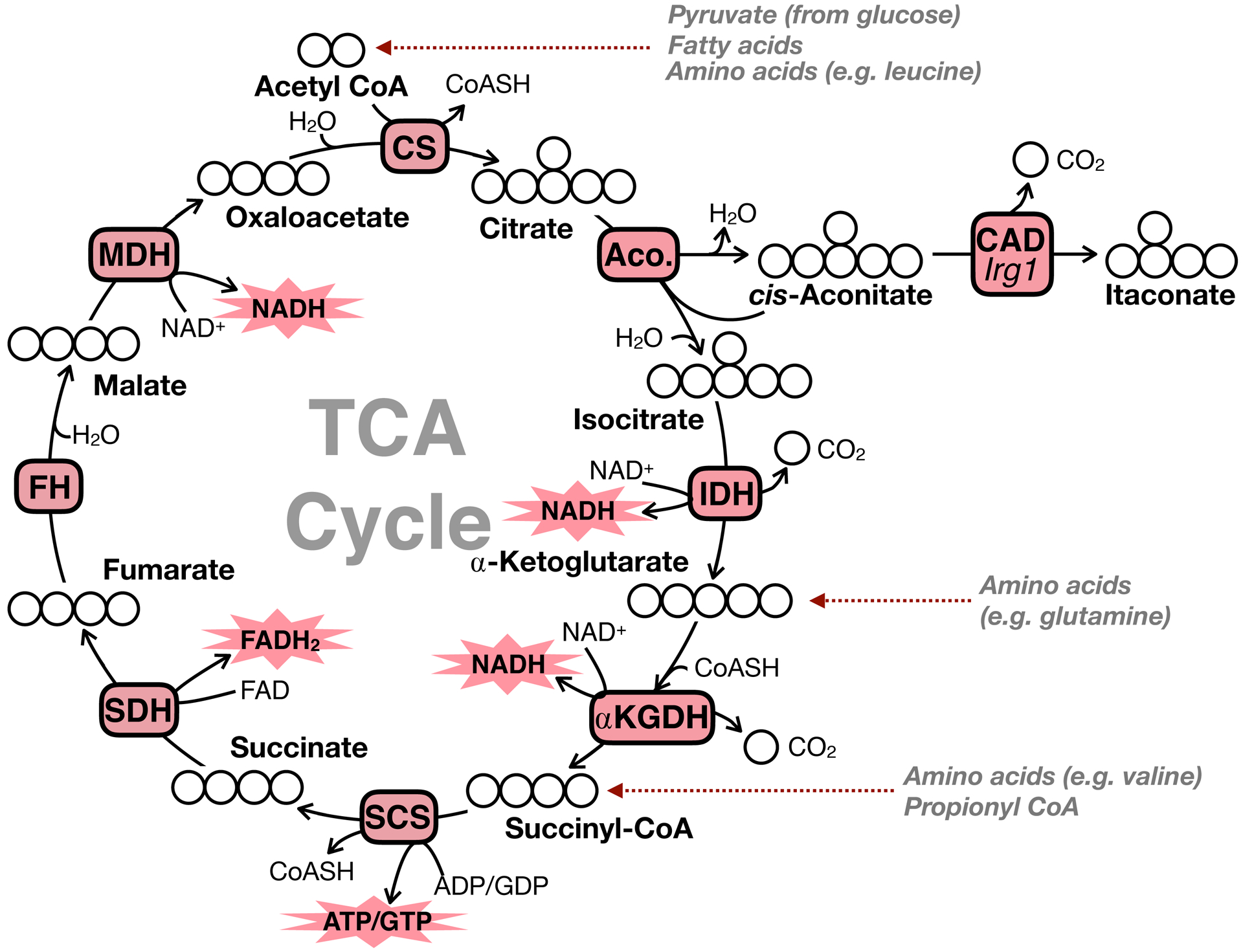 Figure 1 –