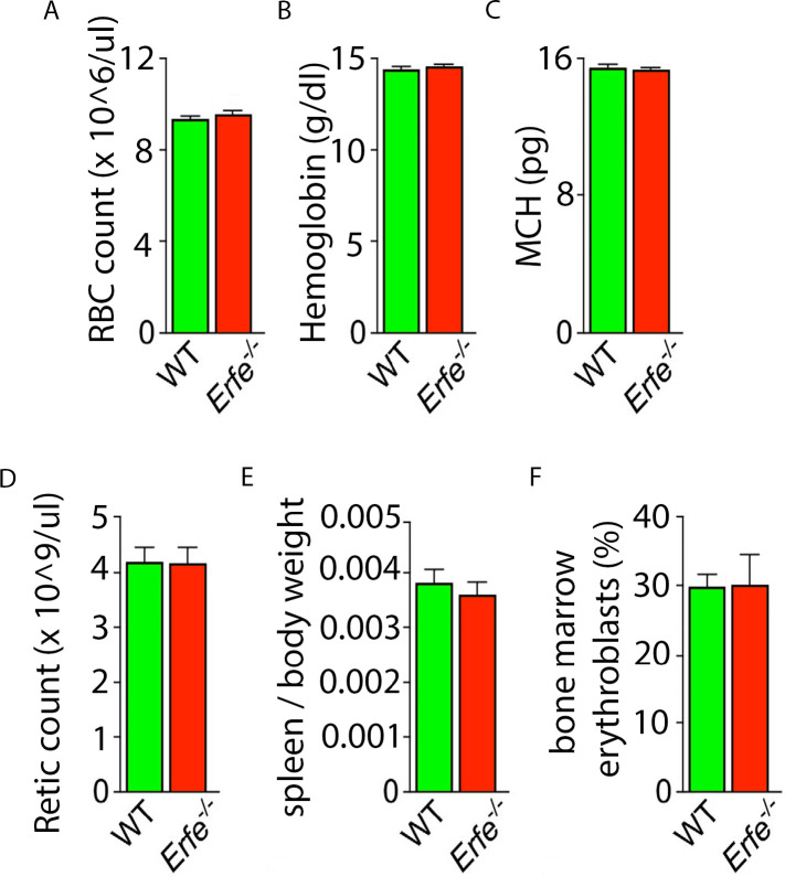 Figure 1—figure supplement 1.