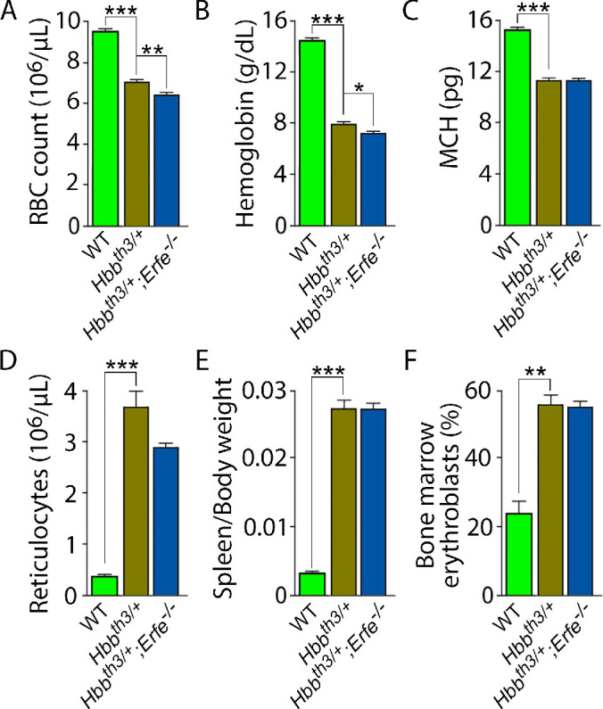 Figure 5—figure supplement 1.