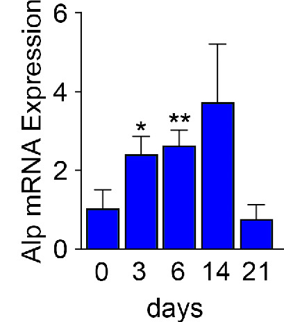 Figure 2—figure supplement 1.