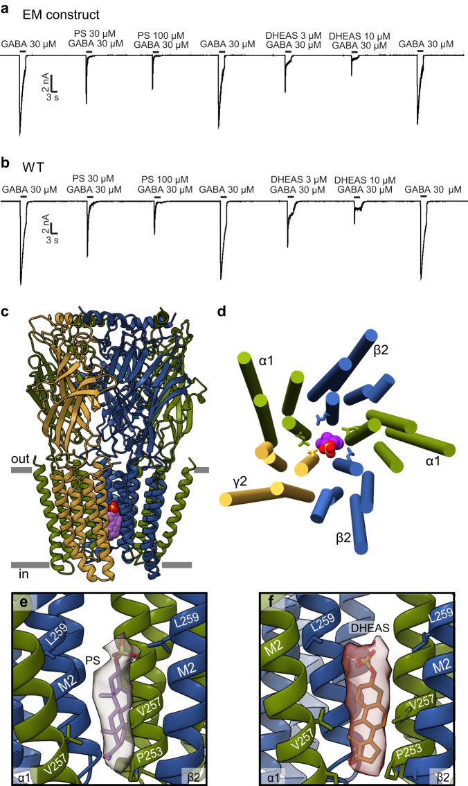 Fig. 4