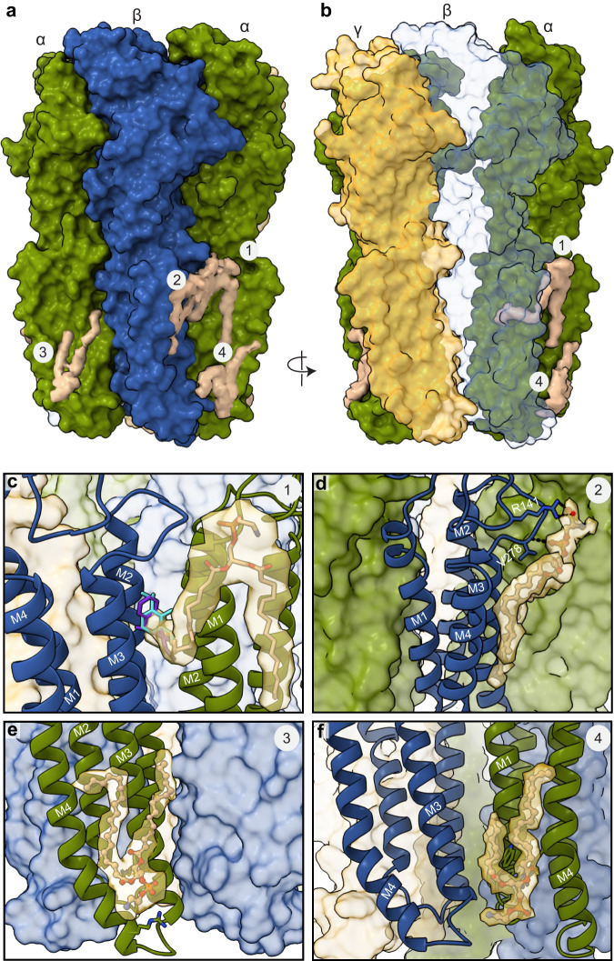 Fig. 6