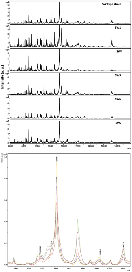 Figure 5