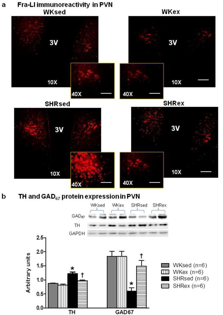 Fig 9