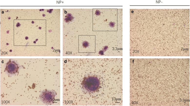 Fig. 3