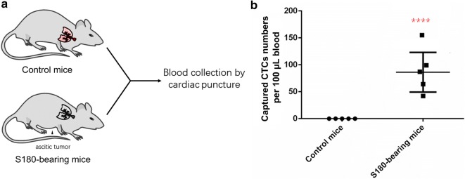 Fig. 7