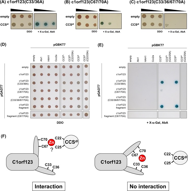 Fig 6