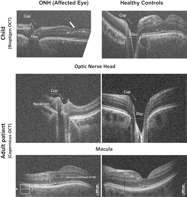 Figure 3