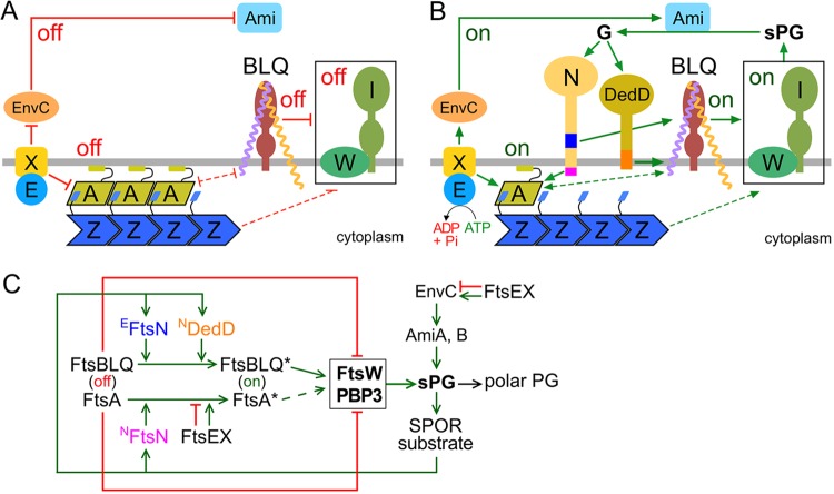 FIG 8