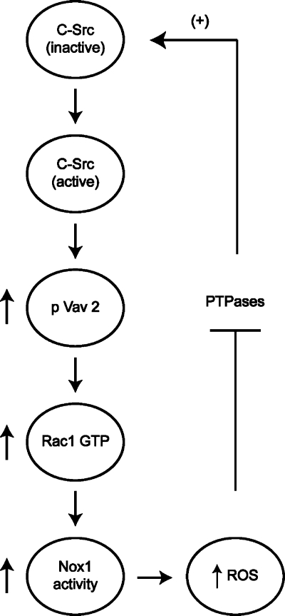 FIG. 6.