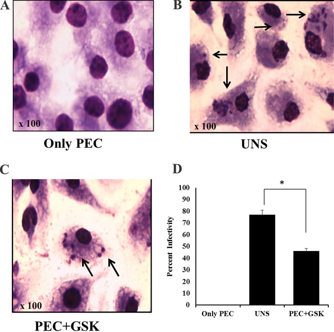 FIG 7