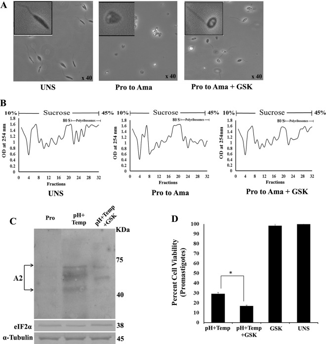 FIG 6