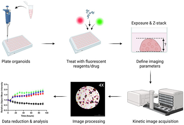 Figure 1: