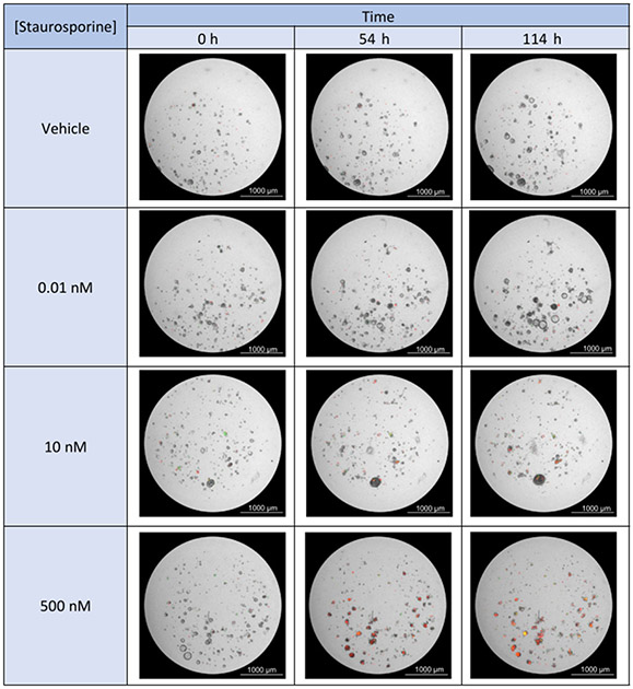 Figure 4: