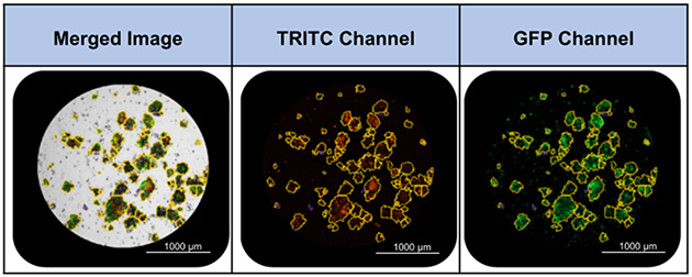 Figure 3: