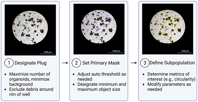 Figure 2: