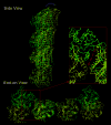 Fig. 4