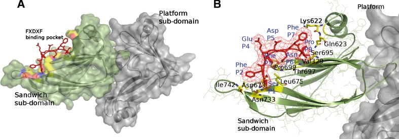 Fig. 7