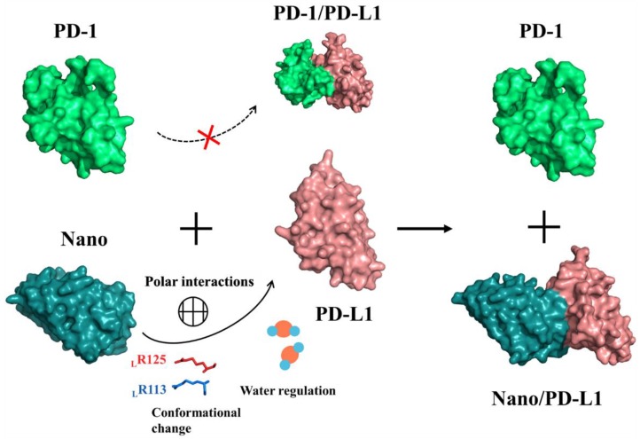 Figure 15