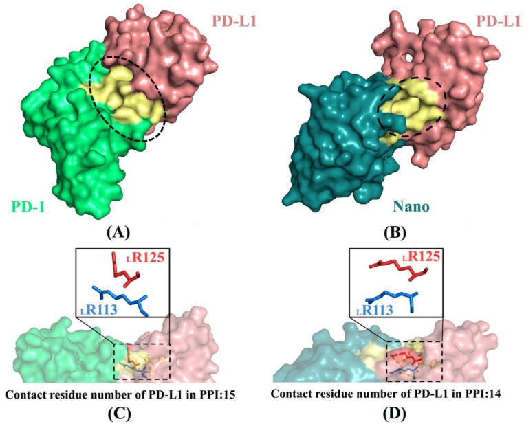 Figure 12