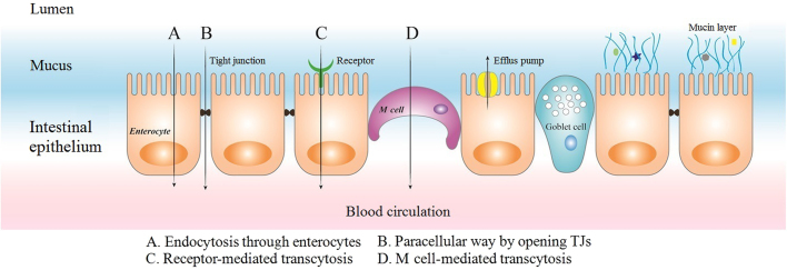 Fig. 2