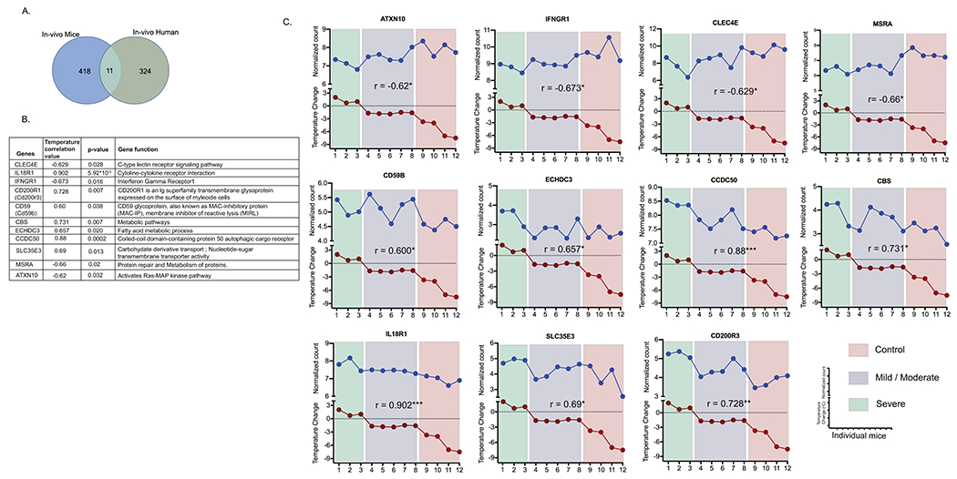 Figure 5: