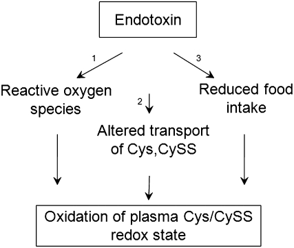 Figure 9.