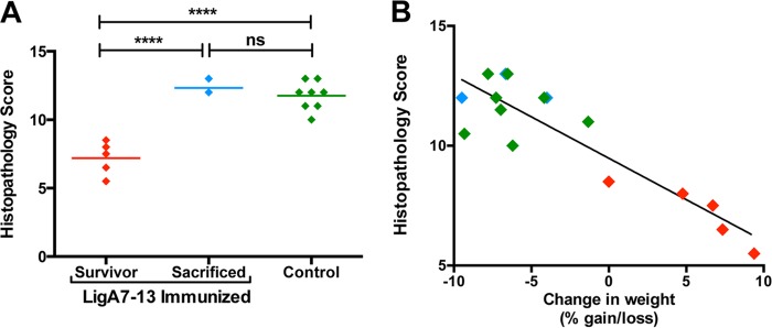 FIG 6