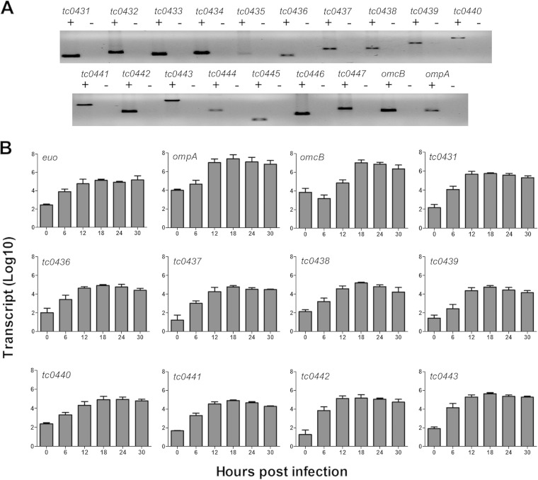 FIG 2