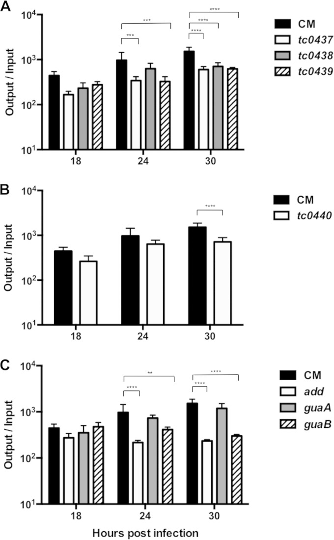 FIG 3