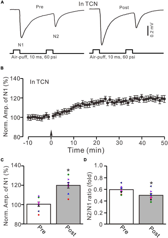 FIGURE 4