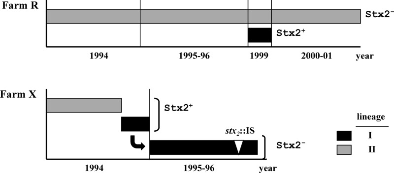 Fig 6