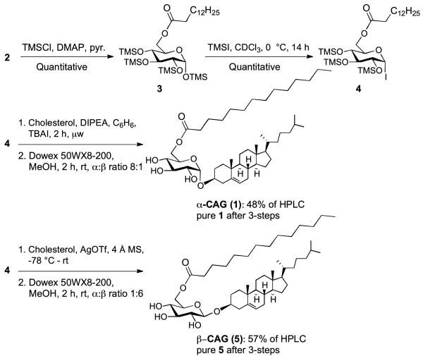 Scheme 1