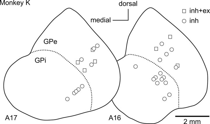 Figure 12.