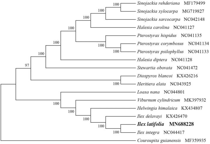 Figure 1.