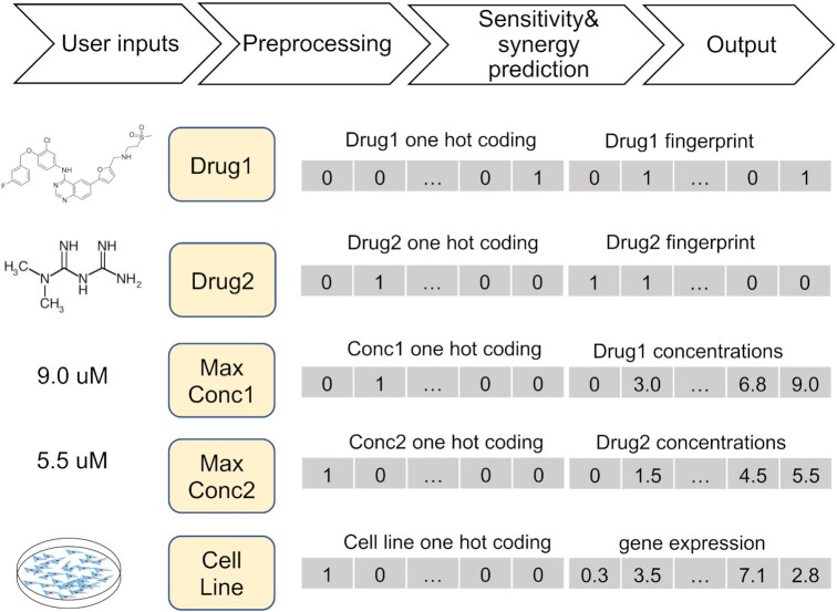 Figure 4.