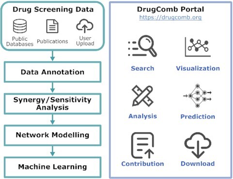 Graphical Abstract