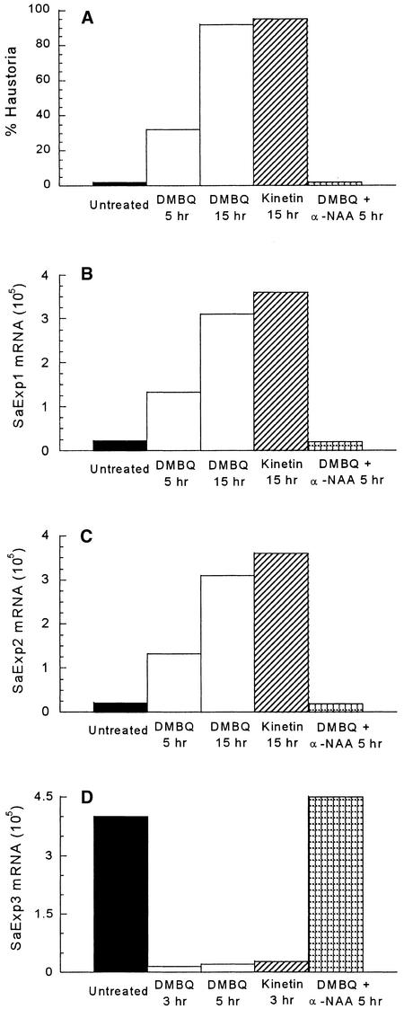 Figure 5.