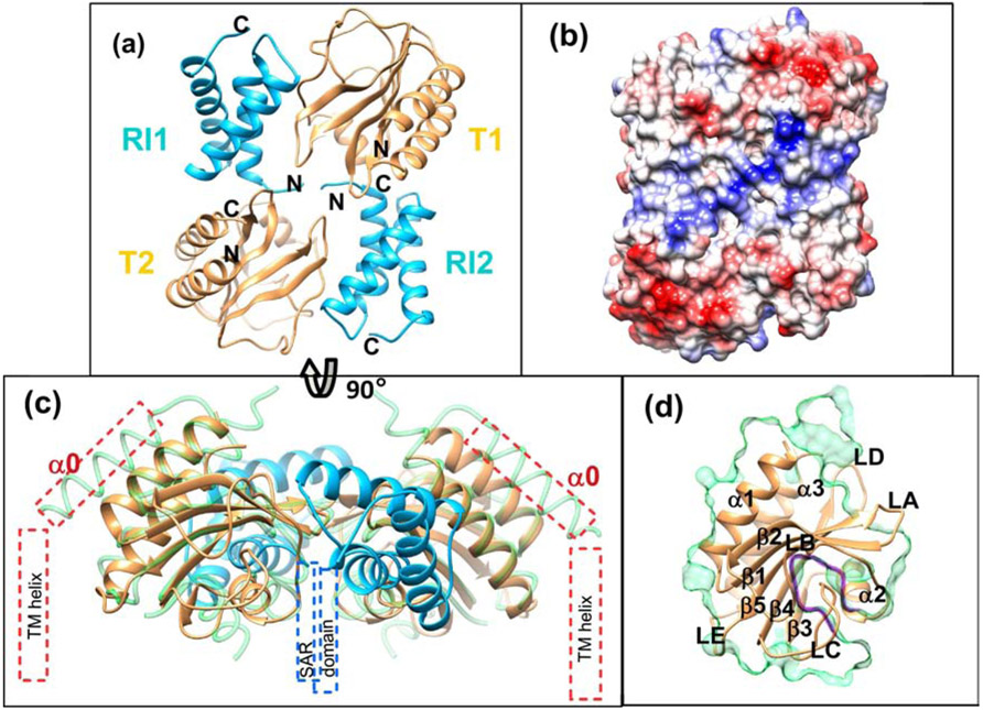 Figure 2.