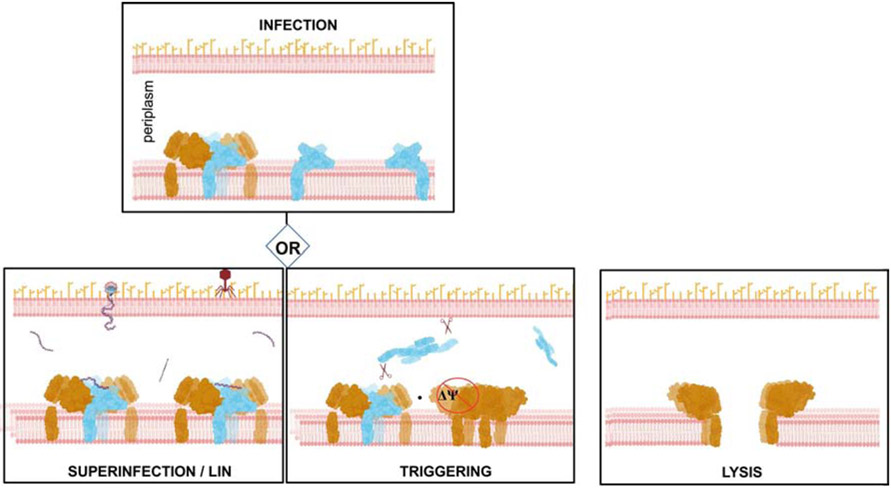 Figure 6.