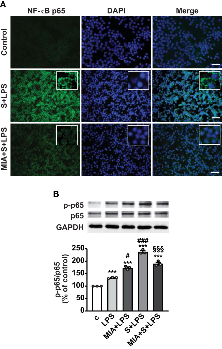 Figure 6