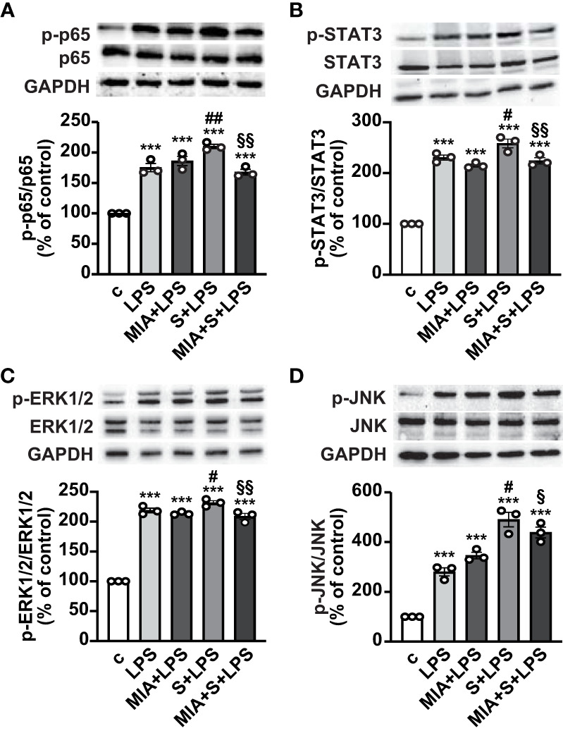 Figure 3