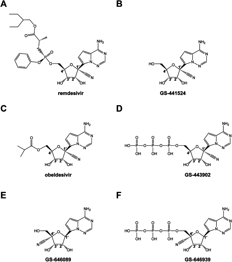 Figure 1