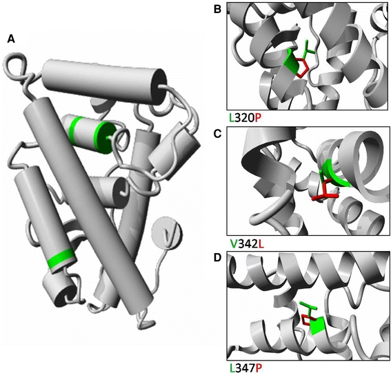 Fig. 6