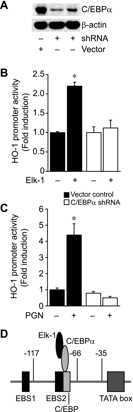 Fig. 9.